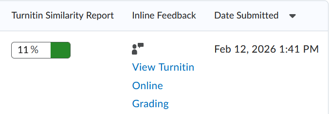 Screenshot of turnitin report in Brightspace