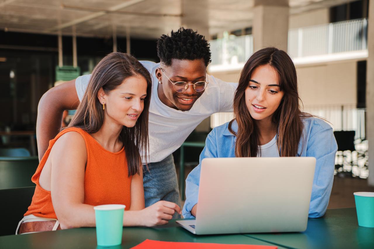Meeting of diverse young people looking information on computer.